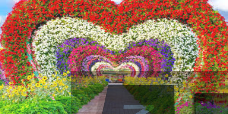 slide-image